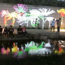 カップルの散歩道