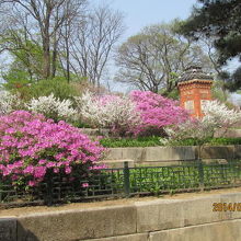 峨眉山と言う王妃の後園。