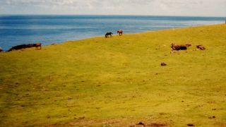 青い空と紺碧の海、広い牧草地