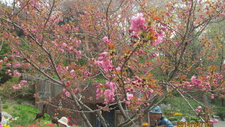 子供たちと一緒に楽しめるさまざまなアミューズメント施設がある。