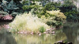 都会の真ん中とは思えないほど自然豊