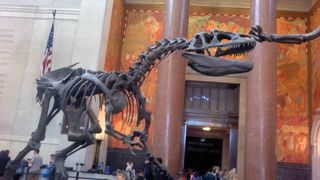 恐竜の化石展示が見もの