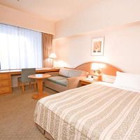 小奇麗な広めの部屋