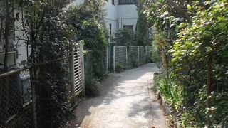 それでも行きますか・・・観光で。