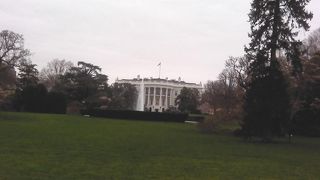 遠巻きに見れます