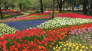 まるでキューケンホフ公園の様