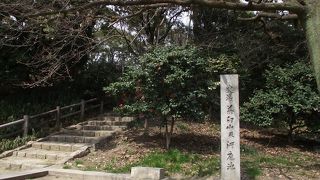 山と言うより丘と言った感じです