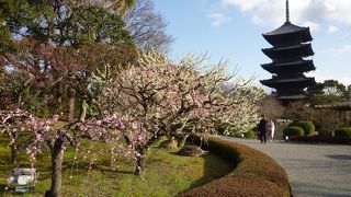 立派な仏像群に感動