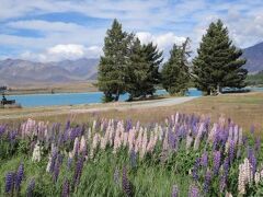 Lake Tekapo Lodge 写真