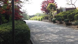 お馬が通る・桜シーズンが絶好でしょう。