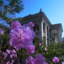 西洋風の建物もある
