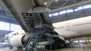 休日も見学できます