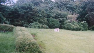 まさに都会のオアシス