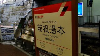ロマンスカーから降りれば、隣のホームに登山鉄道が入ってきます。
