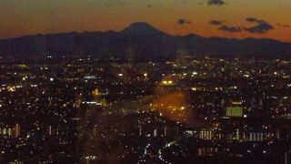 トウキョウトチョウシャテンボウシツ