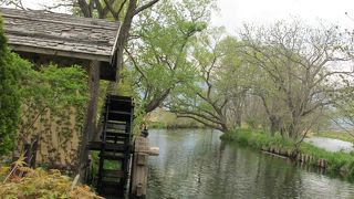 レンタサイクルで回りました。