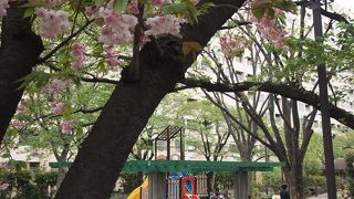 都営住宅の裏側にあります