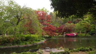 綺麗に整備された公園です
