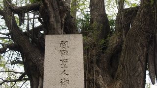 善福寺の境内にあります