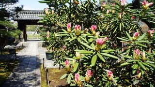 門を入って前庭の辺りは散策可能