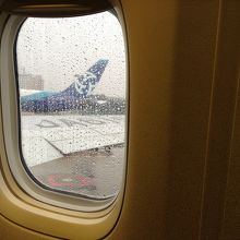 今日は雨ちょっと残念