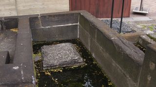 こんな都心に湧き水が・・・！