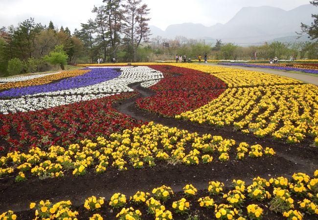 くじゅう花公園 クチコミ アクセス 営業時間 久住高原 フォートラベル くじゅう花公園 クチコミ アクセス 営業時間 久住高原 フォートラベル
