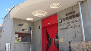 道の駅併設の小さな自然博物館
