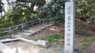 お散歩のついでに…。