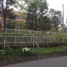 東京電力さんから地元の方が借りてお花