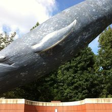 出口を出ると巨大なクジラがお見送りです