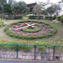 花時計（フローラ公園内）