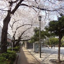 元は黄門さんの弟のお屋敷