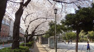 防災施設だけど遊び場も充実