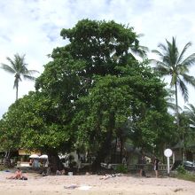 みんなのんびりしてます