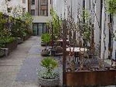 クラブ ドナテロ 写真