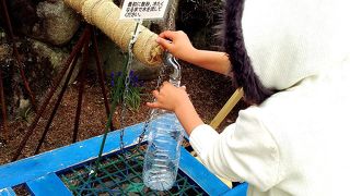 花のじゅうたん　三田市　永沢寺