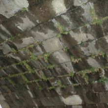 橋の下、内側です