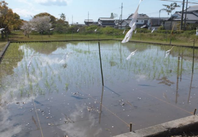 別名「どろんこ祭」。４月第１土曜日より３日間開かれます