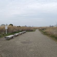 散策道中のベンチ