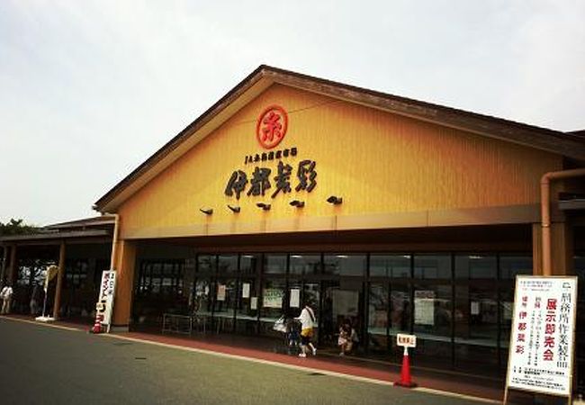 糸島市 前原のお土産屋 直売所 特産品 クチコミ人気ランキングtop3 フォートラベル 福岡県 糸島市 前原のお土産屋 直売所 特産品 クチコミ人気ランキングtop3 フォートラベル 福岡県
