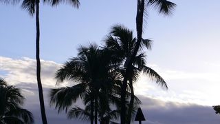 いわゆるハワイ！