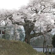 静かでいい雰囲気