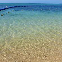 海水の透明度も高いです。