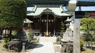 境内には、見事な八重桜