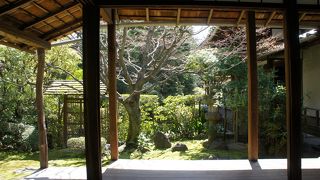 静かな庭の隠れ道