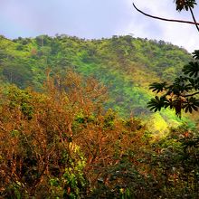 夕方には谷に虹がかかることも