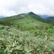 さすが花の１００名山