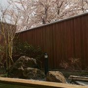 満開の桜を観ながら檜露天風呂へ