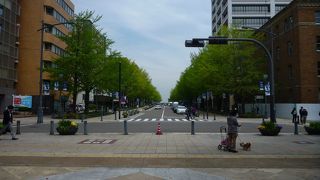 紅葉の時期に行くのがとてもお勧めです